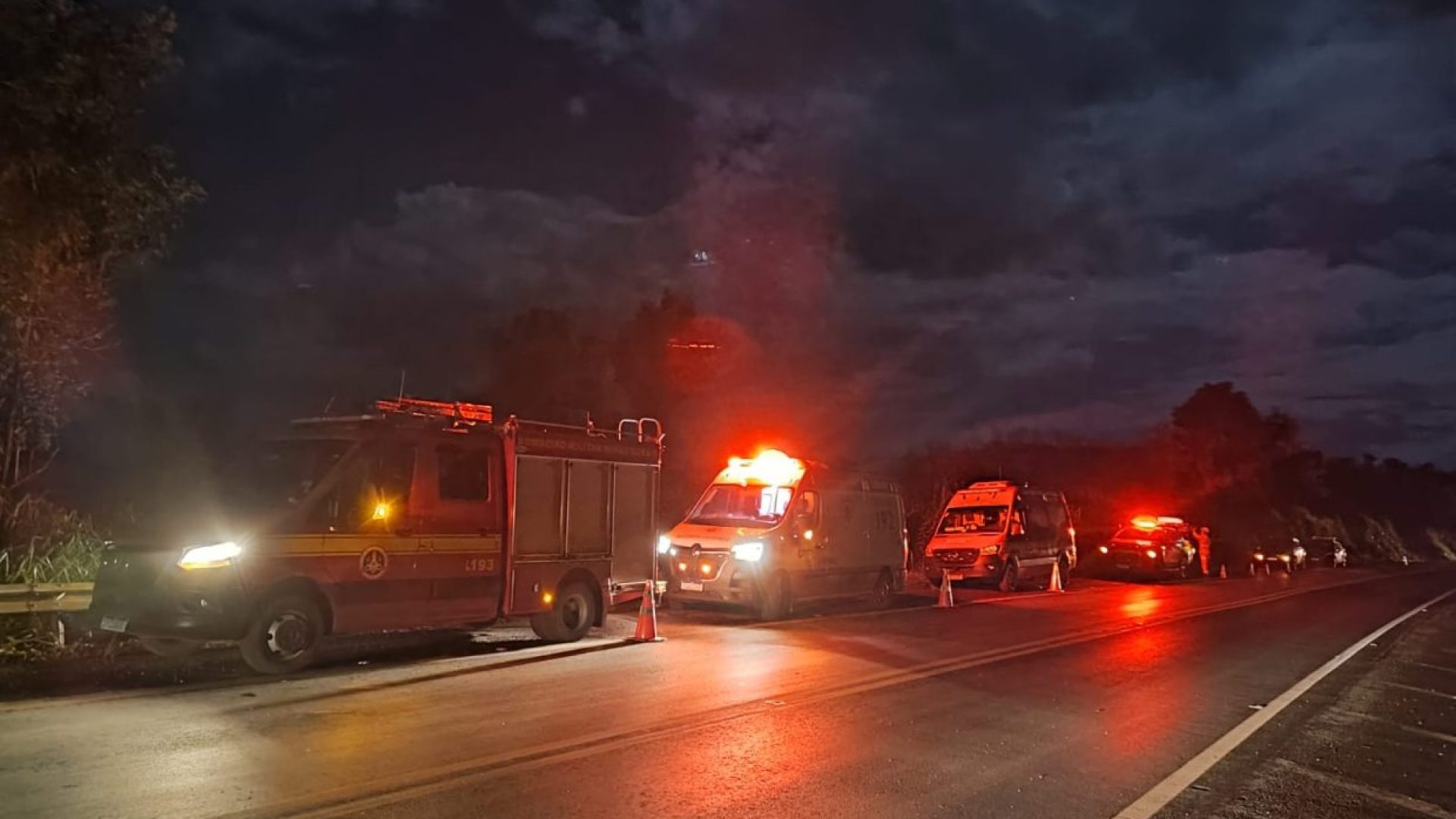 (foto: divulgação/ CBMG)