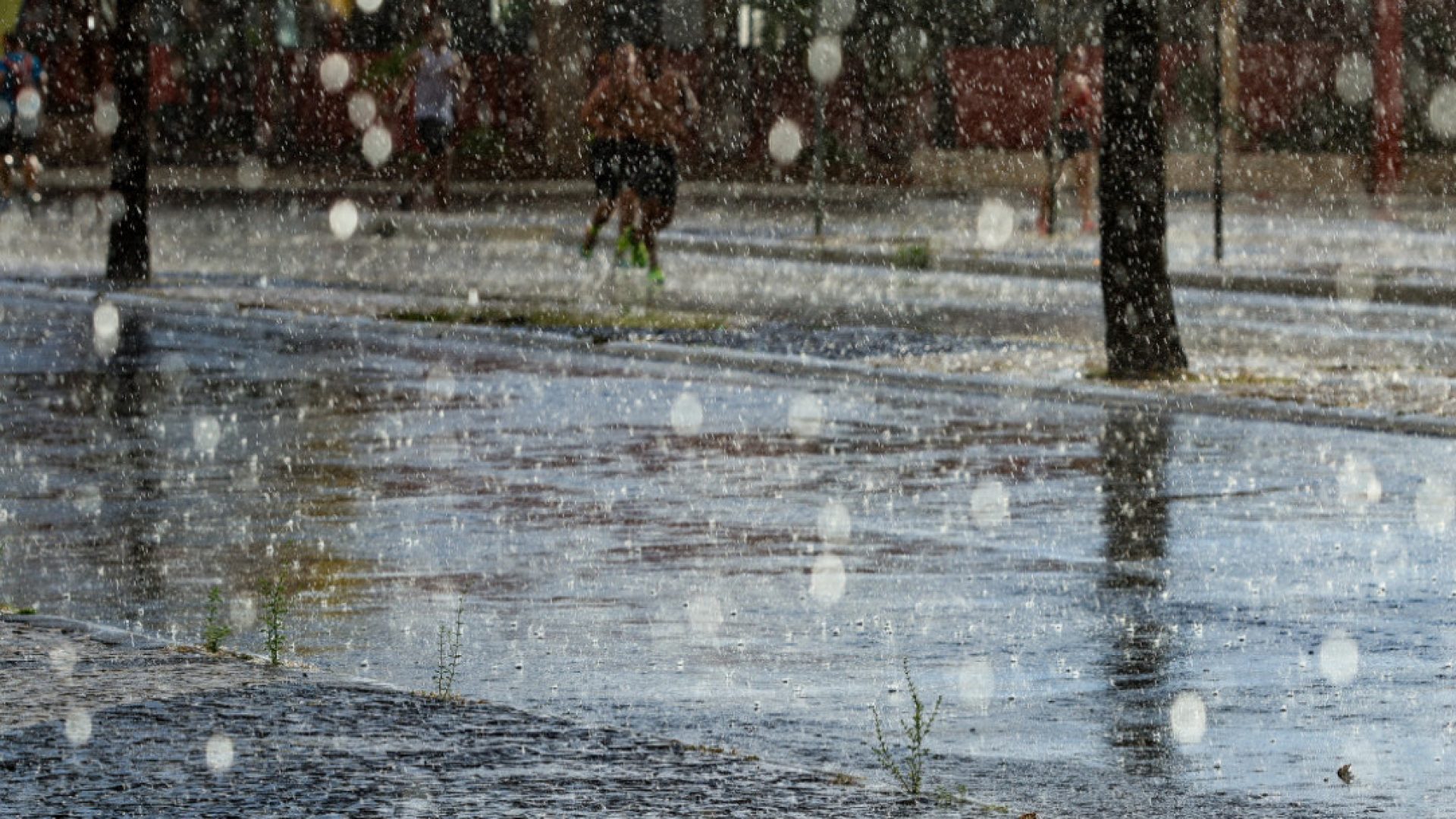 Foto: Reprodução internet