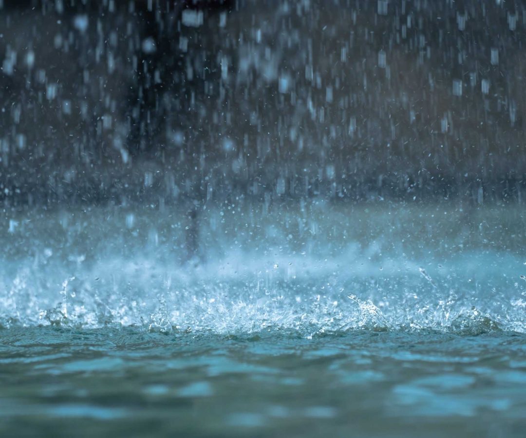 Foto: Reprodução internet