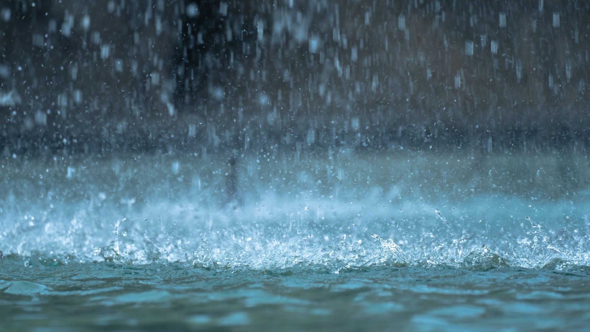 Foto: Reprodução internet