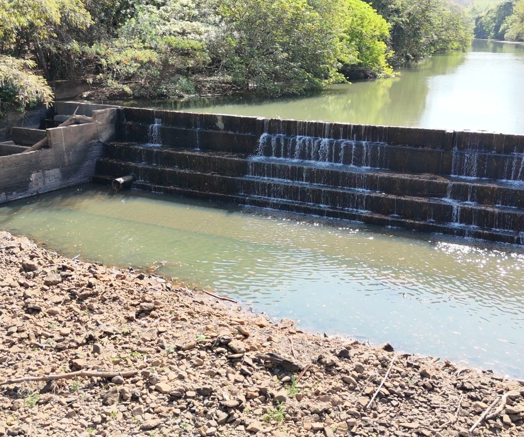 divulgação CODAU