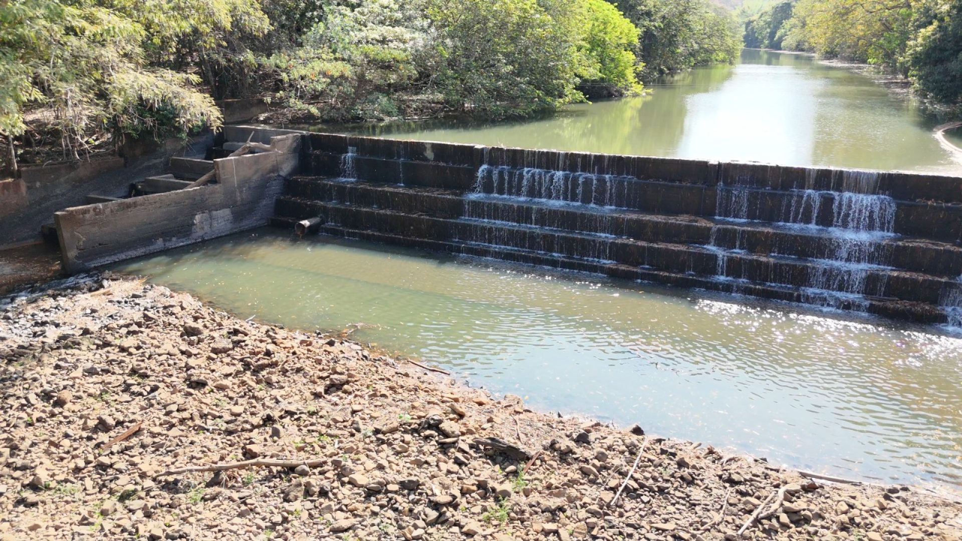divulgação CODAU