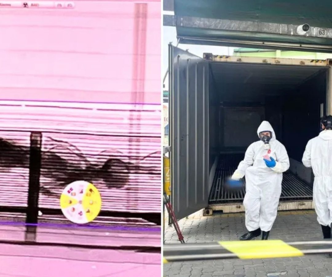 corpo achado em contêiner no Porto de Santos