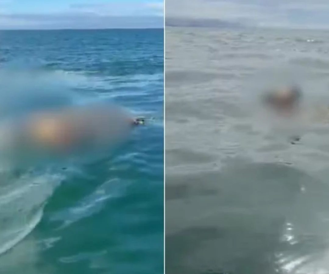corpo de turista desaparecida em Itanhaém