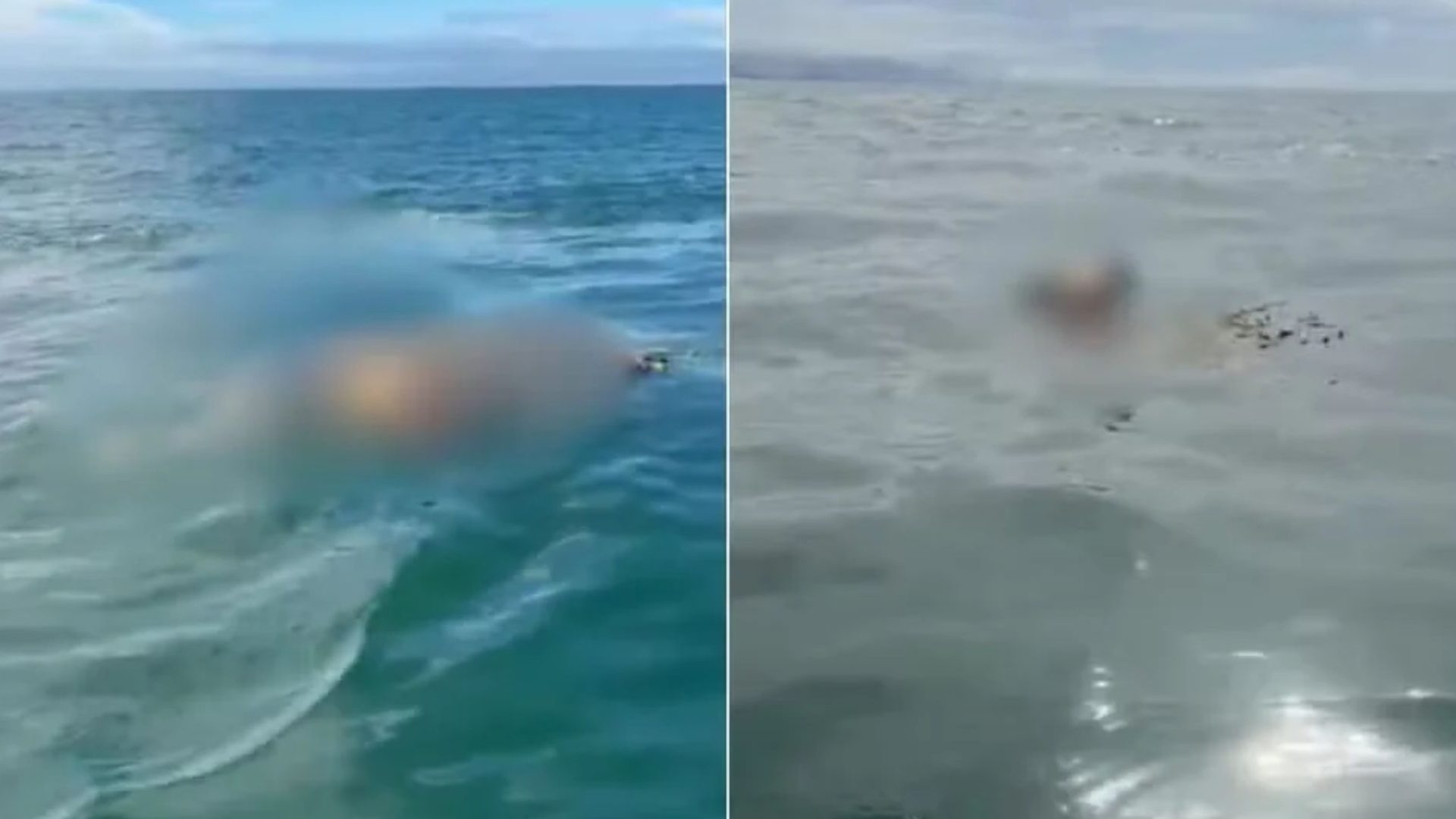 corpo de turista desaparecida em Itanhaém
