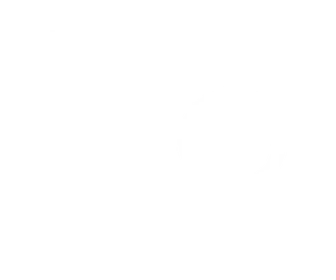 cropped-cropped-ISN-LOGO-branca-horizontal.png.webp