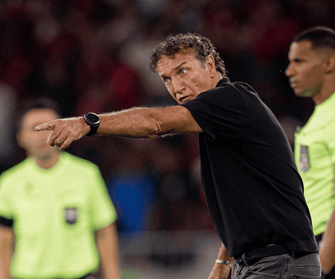 Foto: Raul Baretta / Santos FC