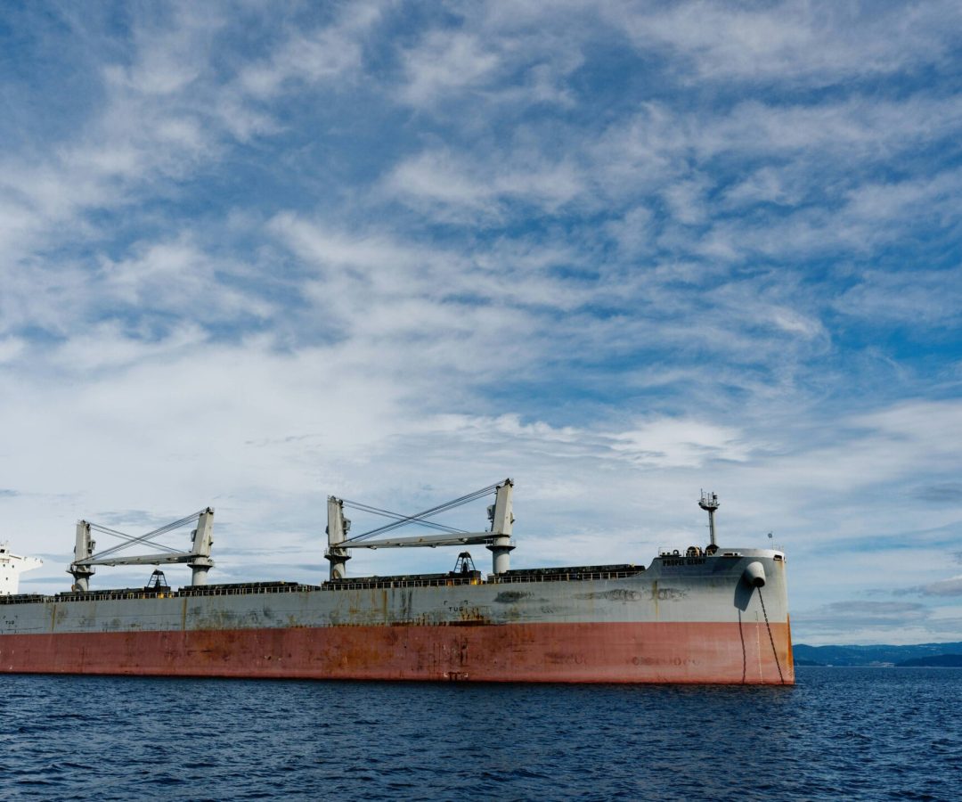 Foto: Reprodução/unsplash