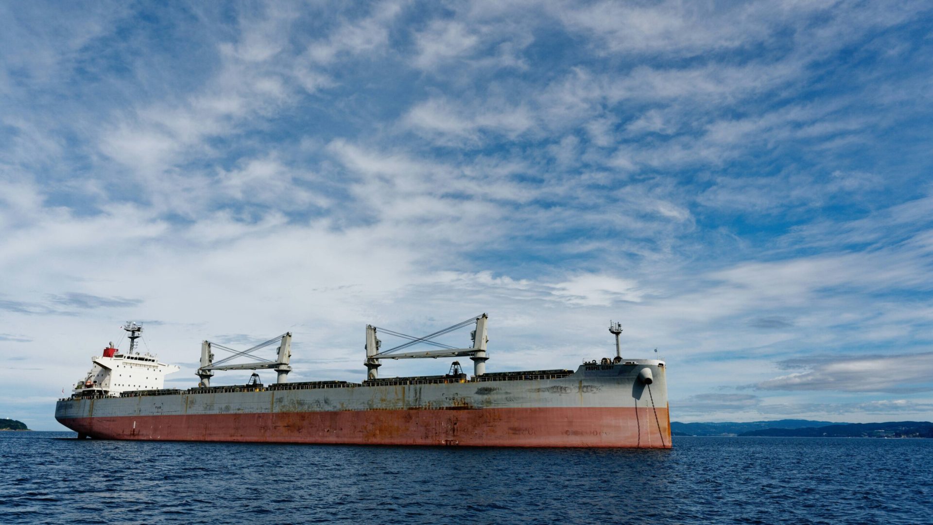 Foto: Reprodução/unsplash