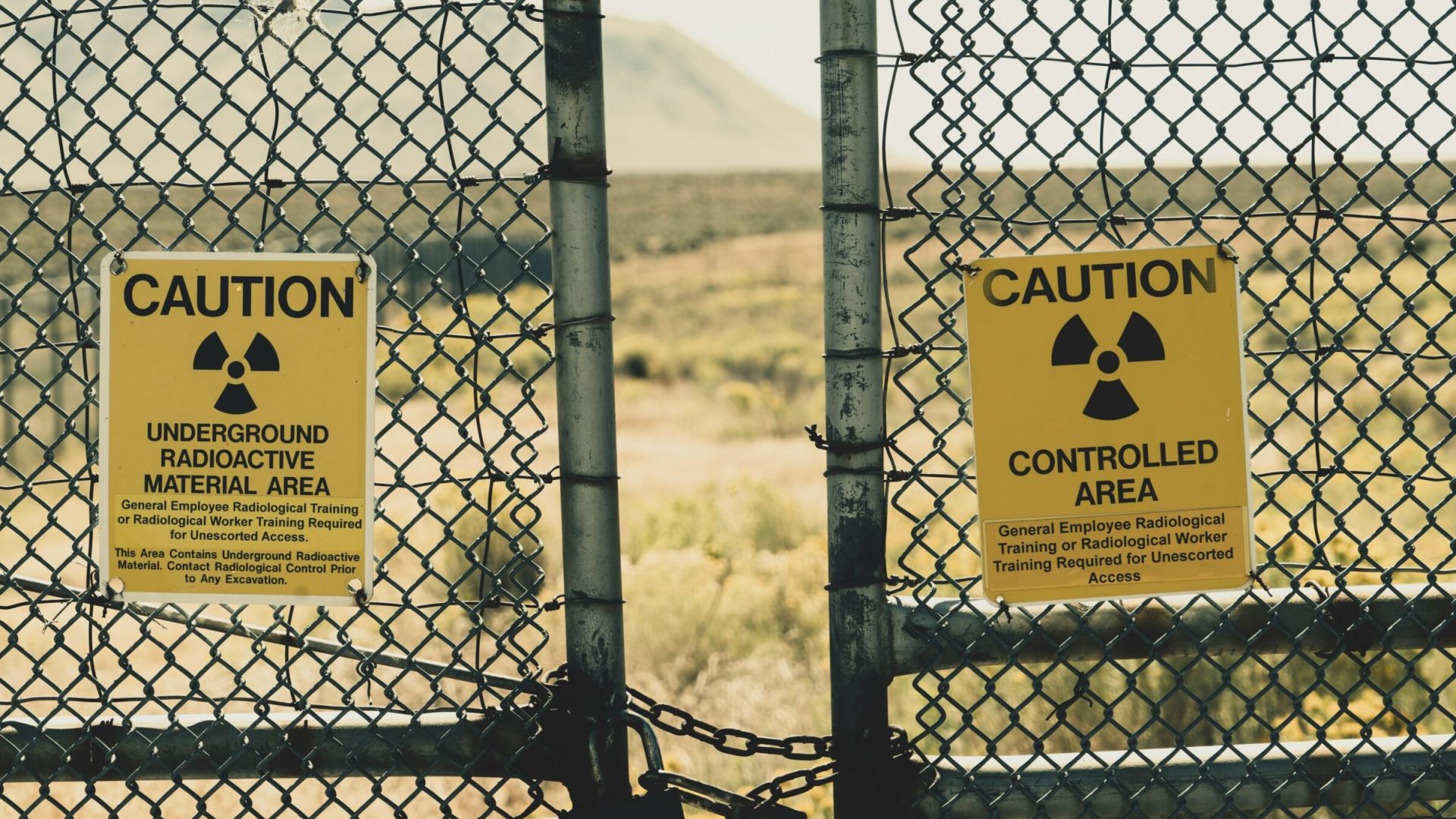 Foto: Reprodução/Unsplash