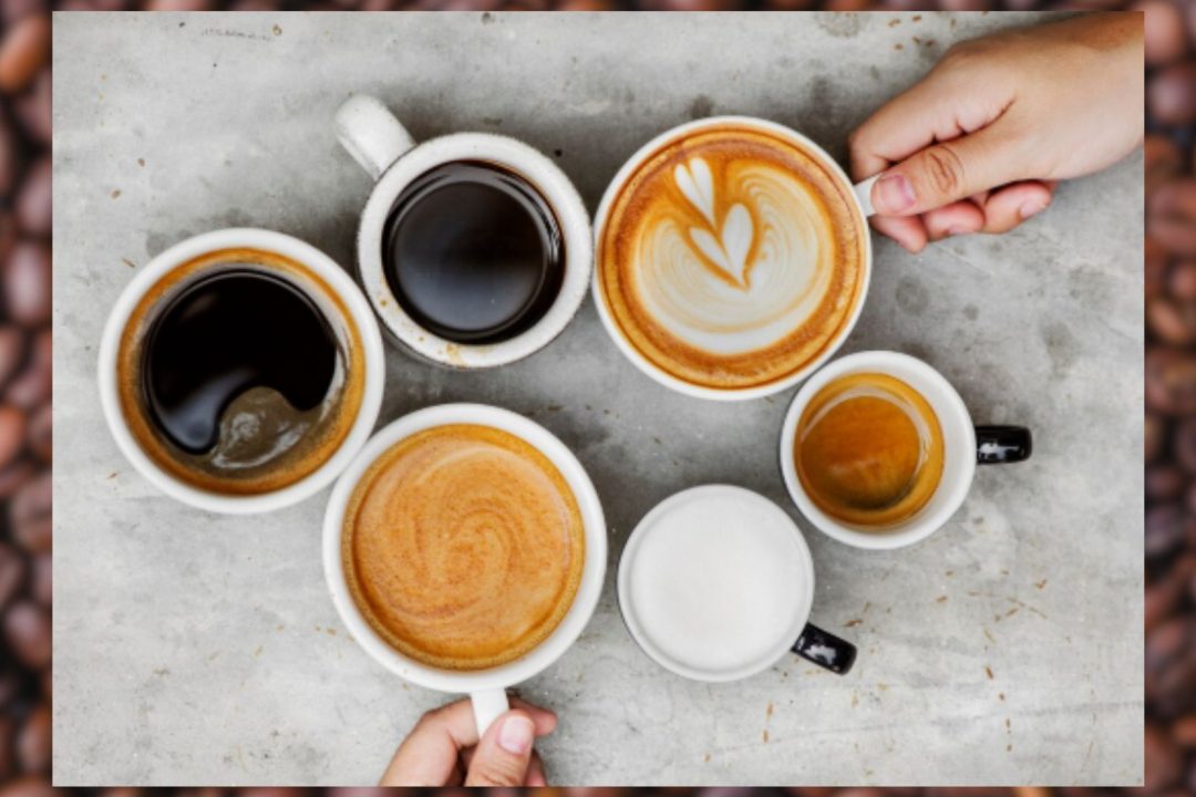 Dia Mundial do Café entenda as diferenças entre extraforte, tradicional, gourmet, superior e especial