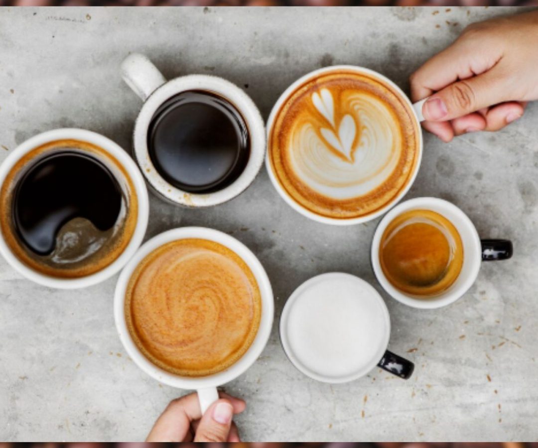 Dia Mundial do Café entenda as diferenças entre extraforte, tradicional, gourmet, superior e especial