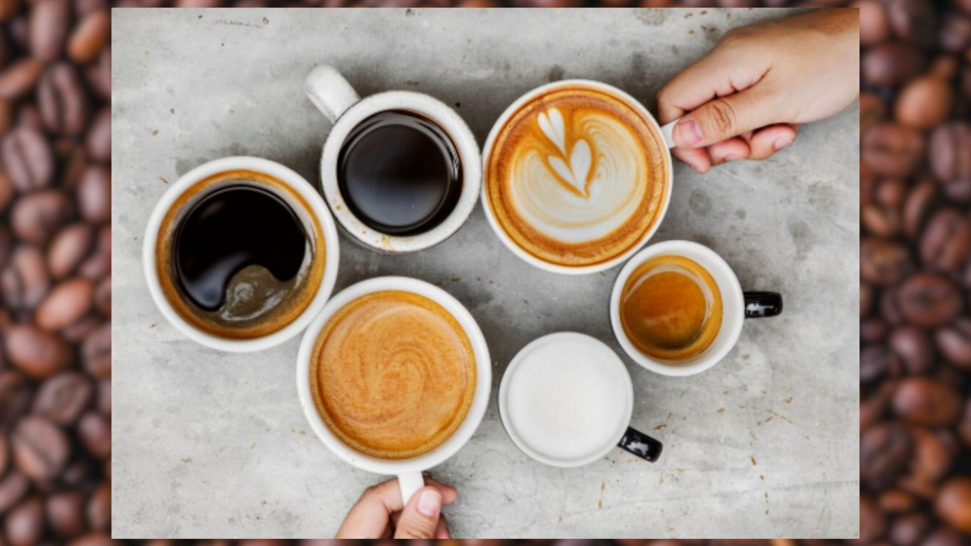 Dia Mundial do Café entenda as diferenças entre extraforte, tradicional, gourmet, superior e especial