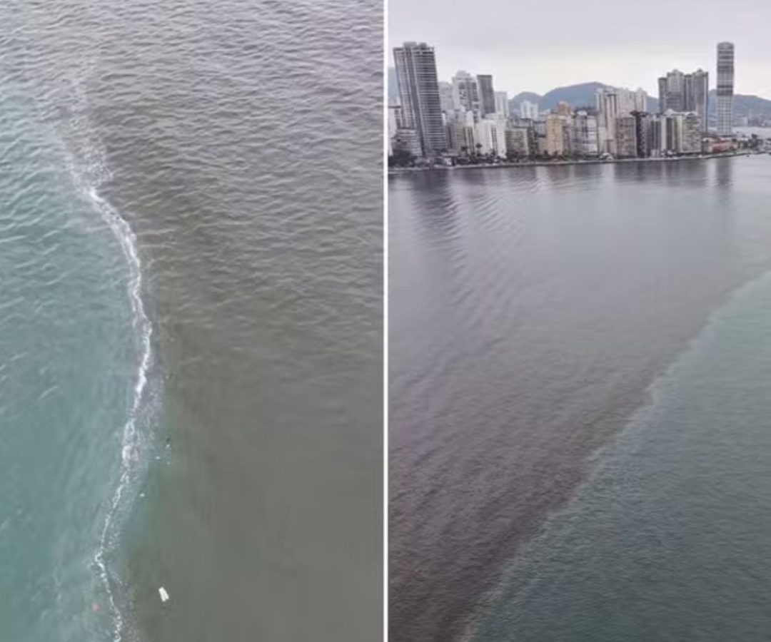 divisão no mar de Santos