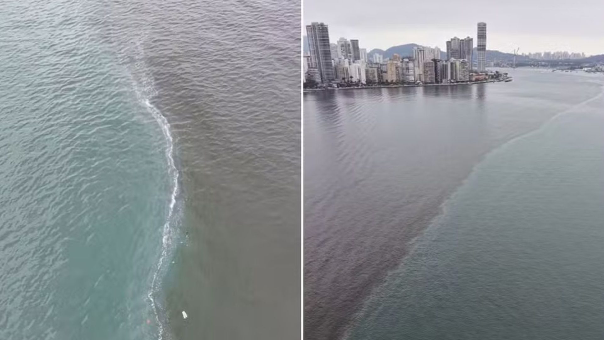 divisão no mar de Santos