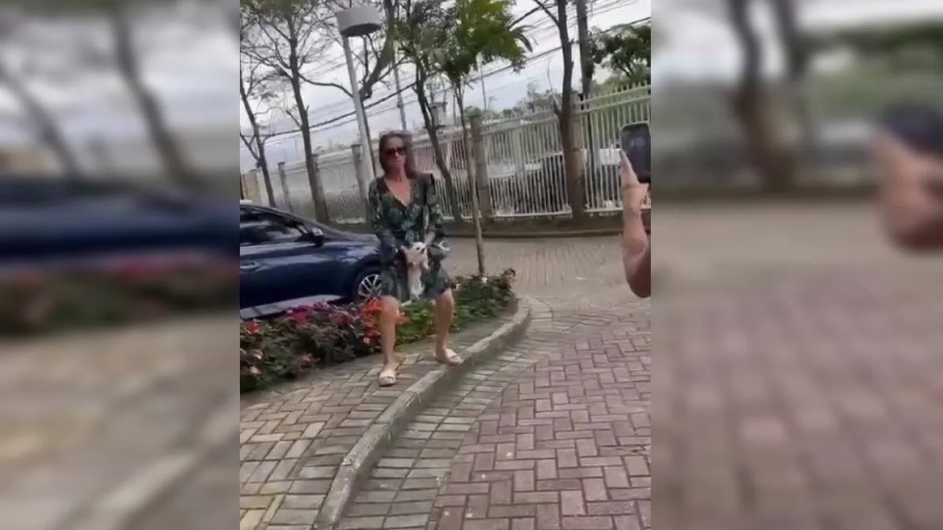Uma mulher foi presa em flagrante no domingo (16) por suspeita de maus-tratos contra animais em um condomínio no Recreio dos Bandeirantes, Zona Oeste do Rio de Janeiro.