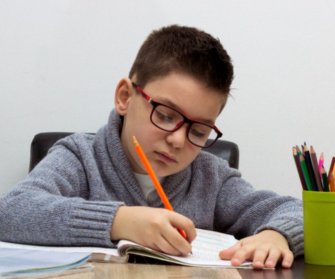 educação política