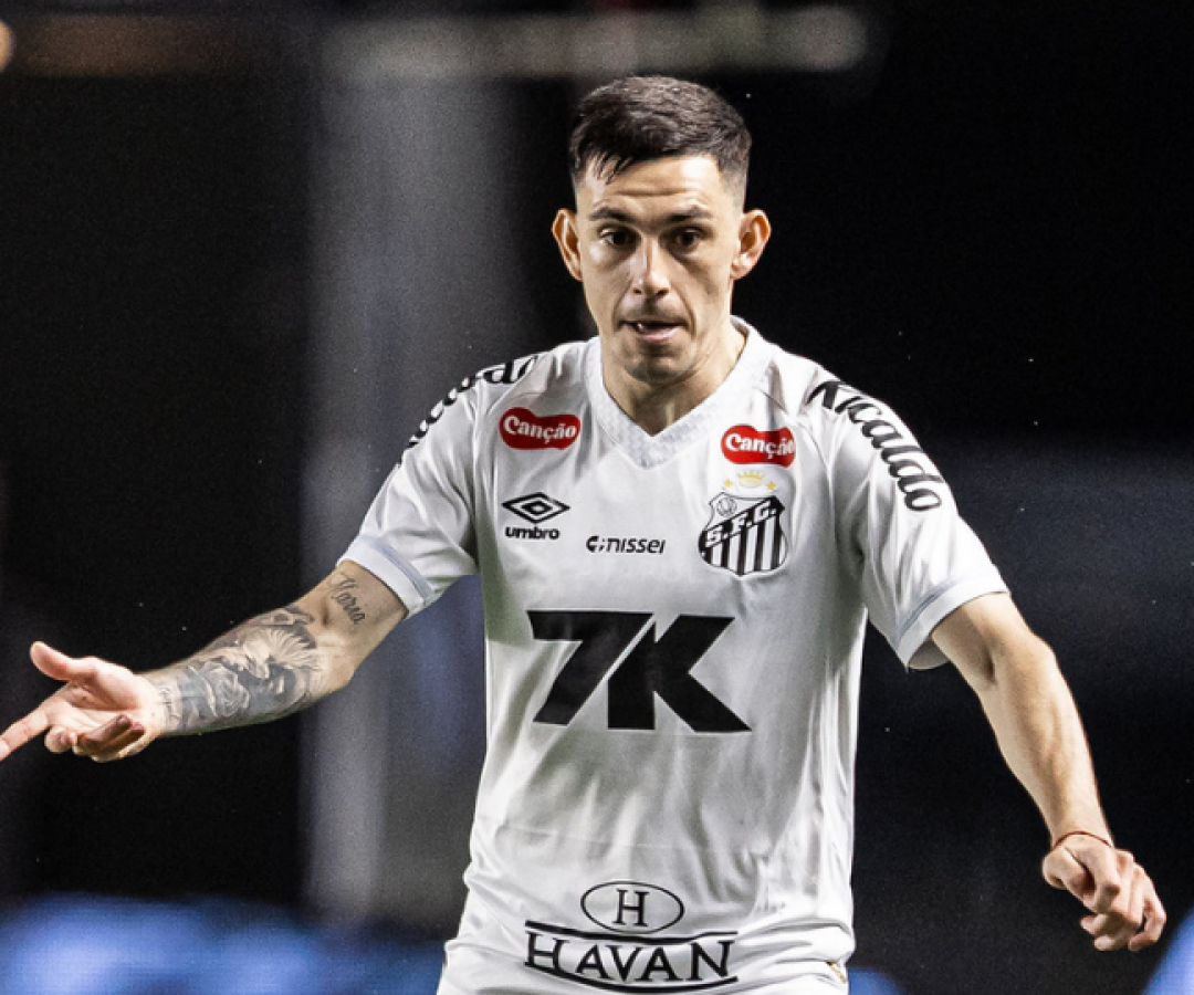 Foto: Raul Baretta / Santos FC