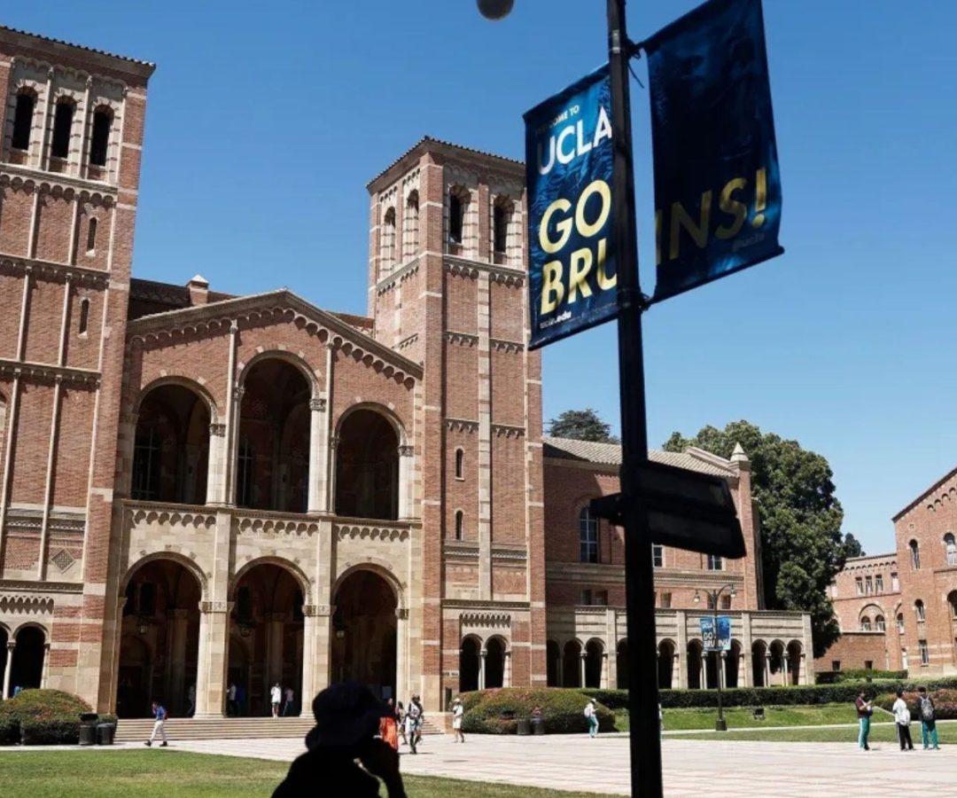 estágios para estudantes internacionais