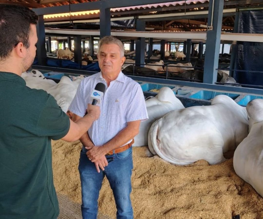 Gerente Comercial e de Exposições da ABCZ, Rodrigo Abdanur (foto: ASCOM/ABCZ)