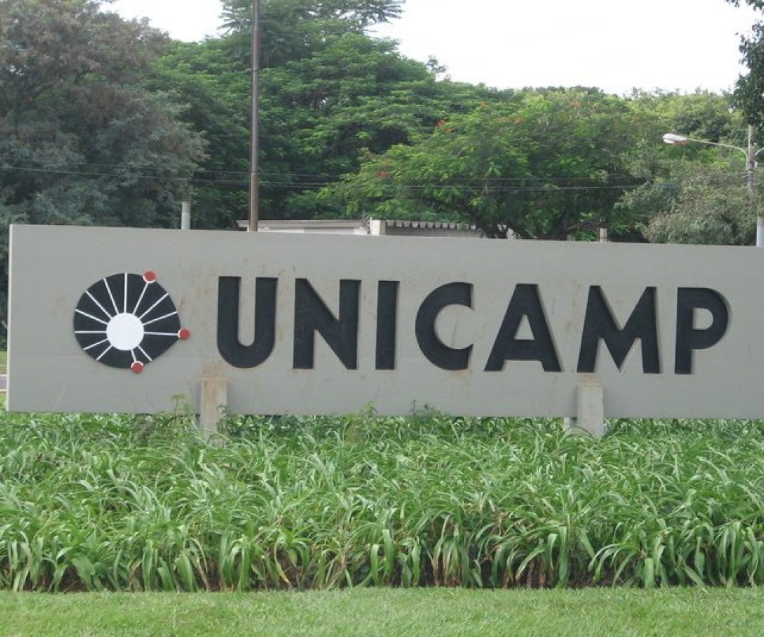 fapesp-processa-34-pesquisadores-unicamp