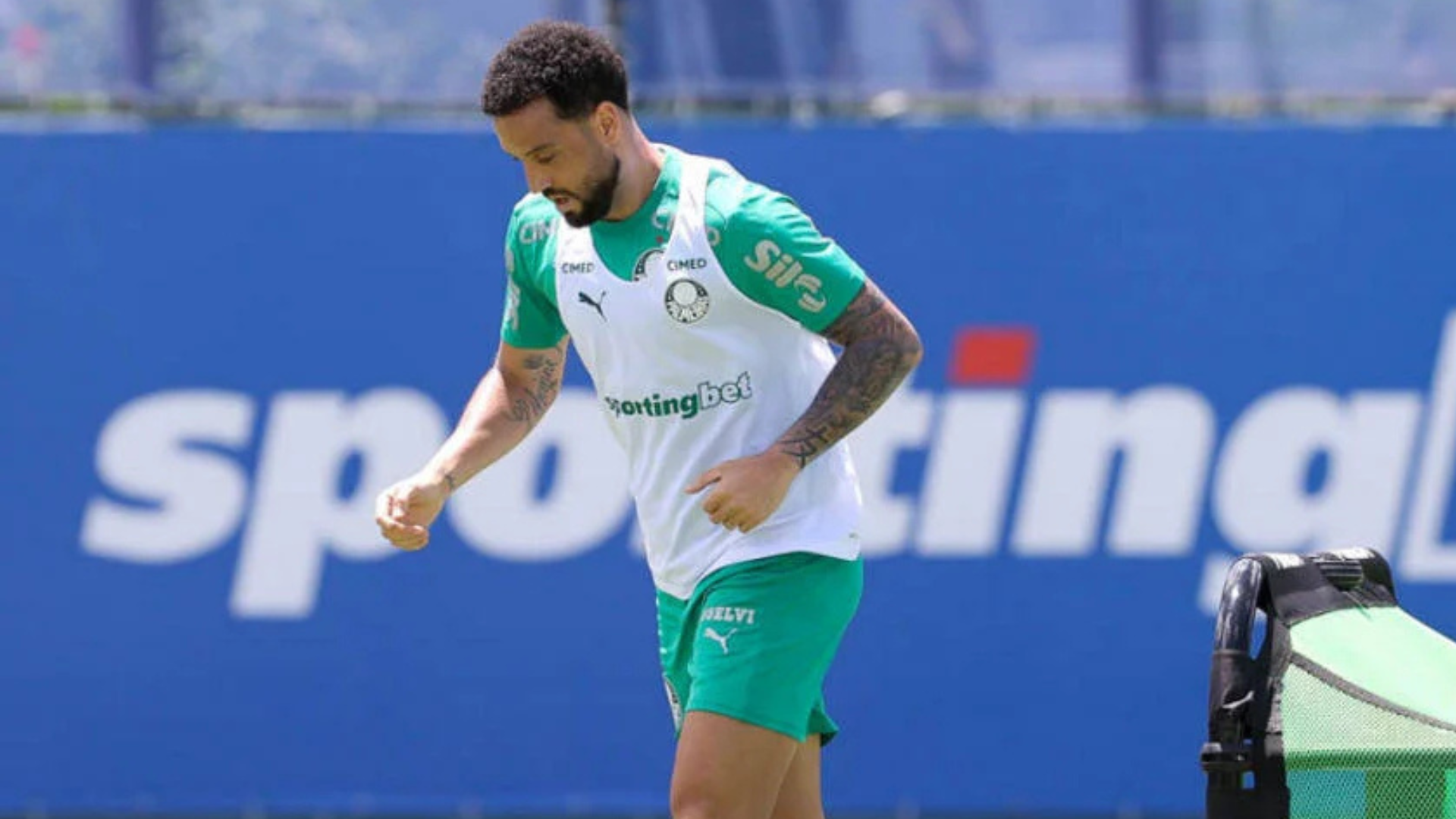Foto: Cesar Greco / Palmeiras