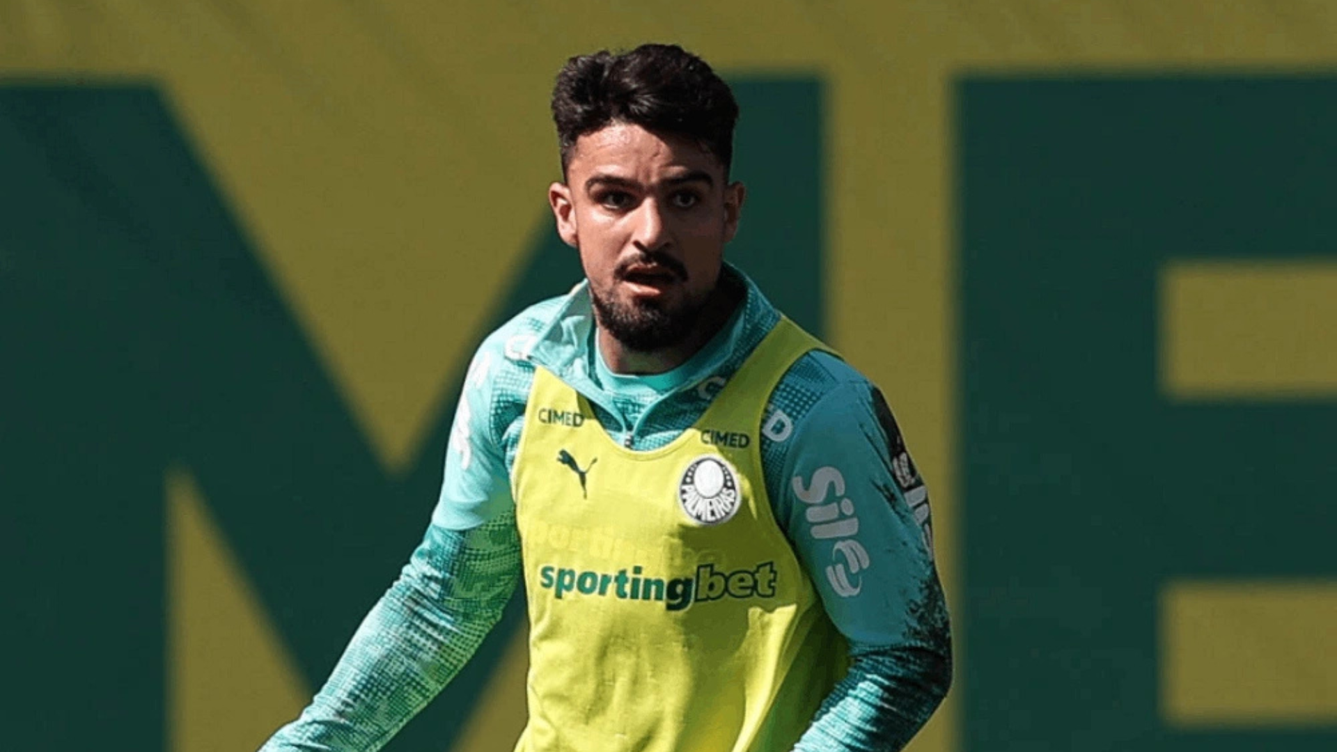 Foto: Divulgação / SE Palmeiras / Cesar Greco