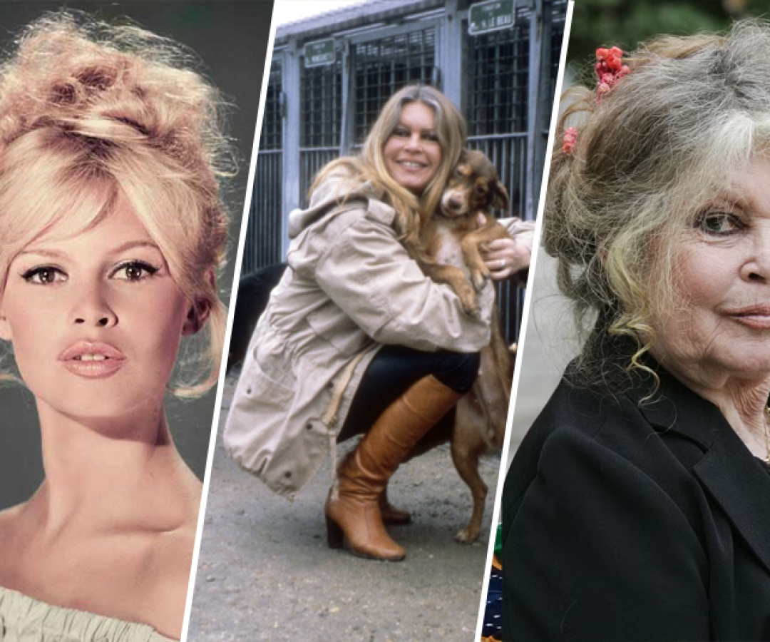 foto brigitte bardot 28 12 25