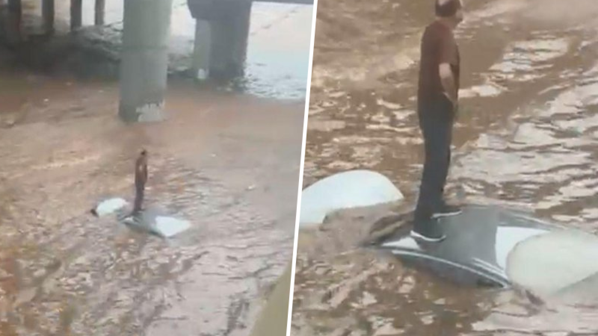 foto chuva goiania 07 12 25