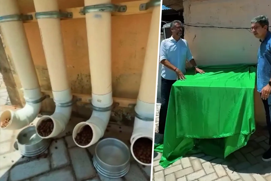 foto comedouro 12 02 26