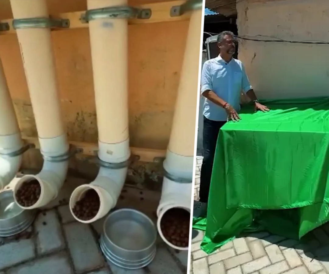 foto comedouro 12 02 26