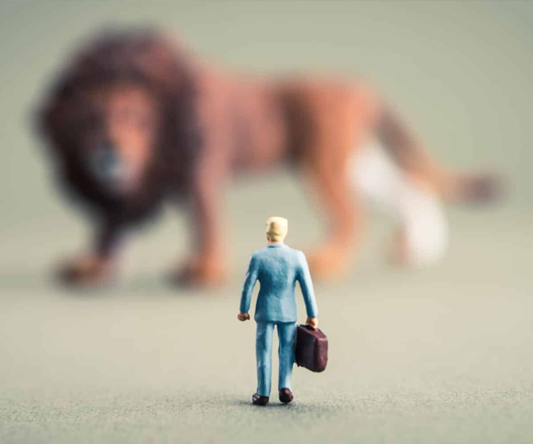 foto inss isencao 26 11 25