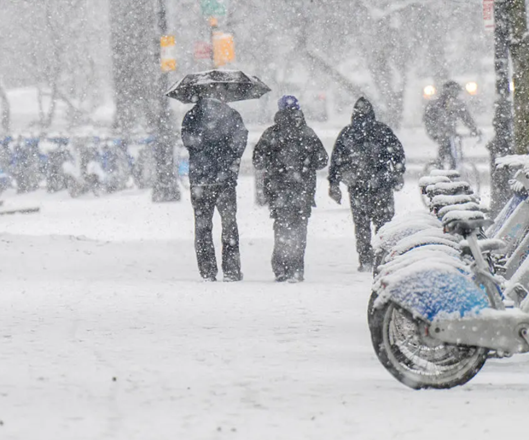 foto neve eua 24 01 26