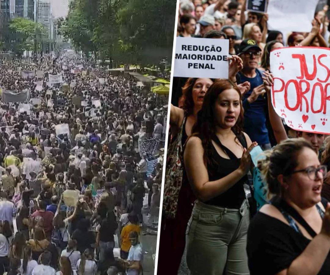 foto orelha 02 02 26