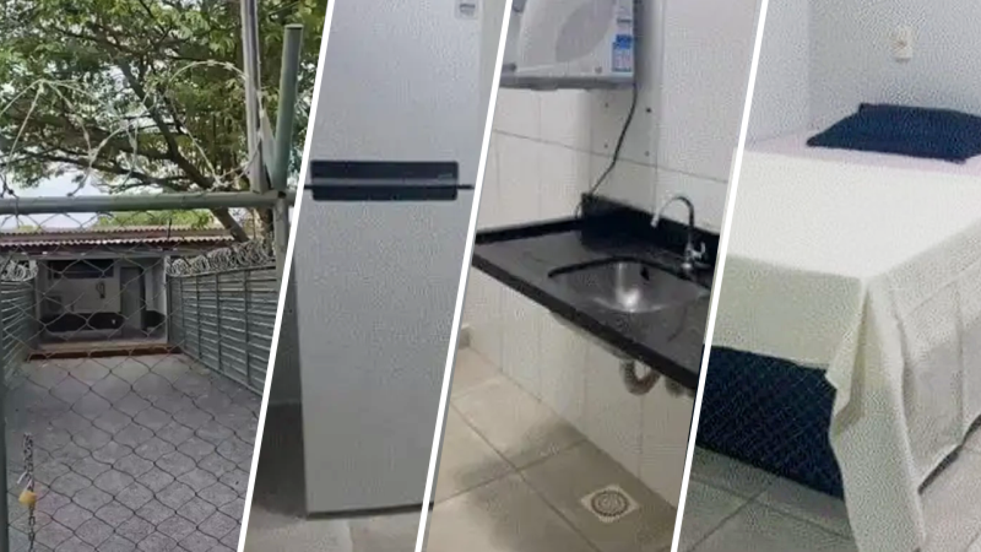 foto papudinha 16 01 26