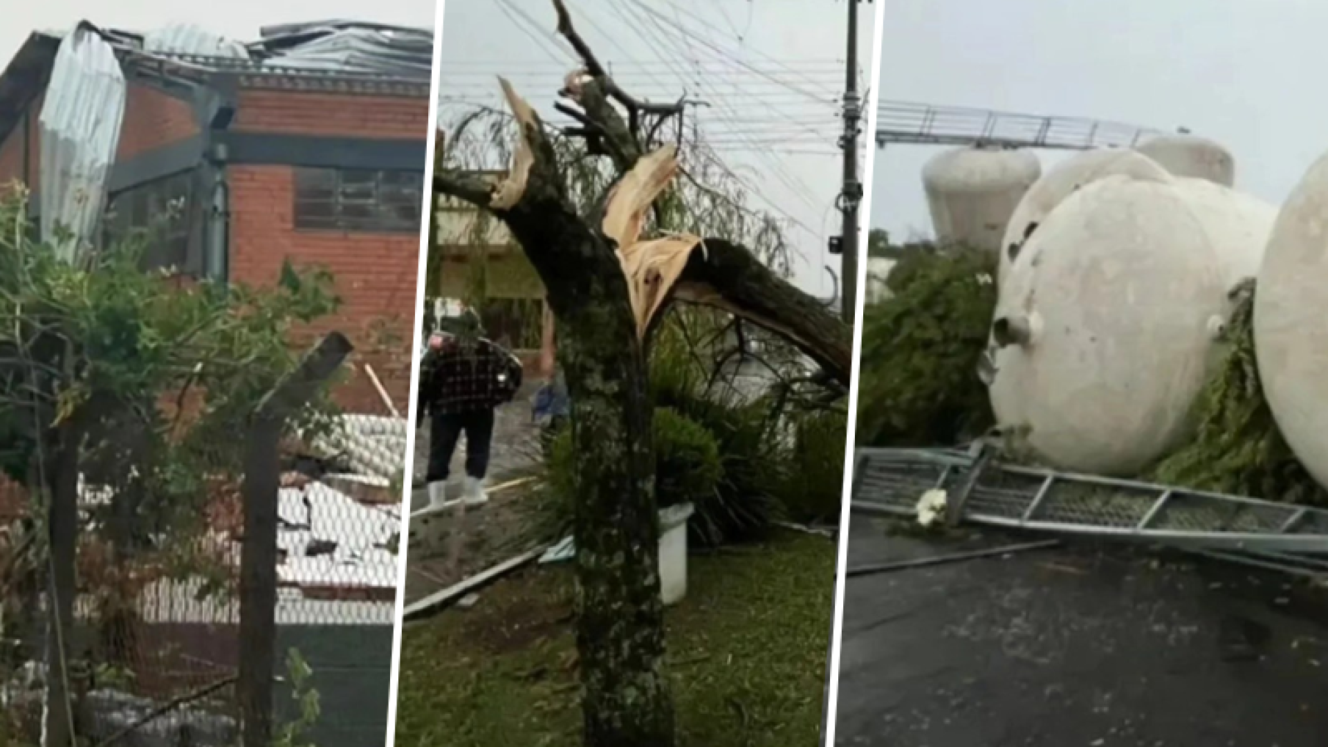 foto serra gaucha 09 12 25