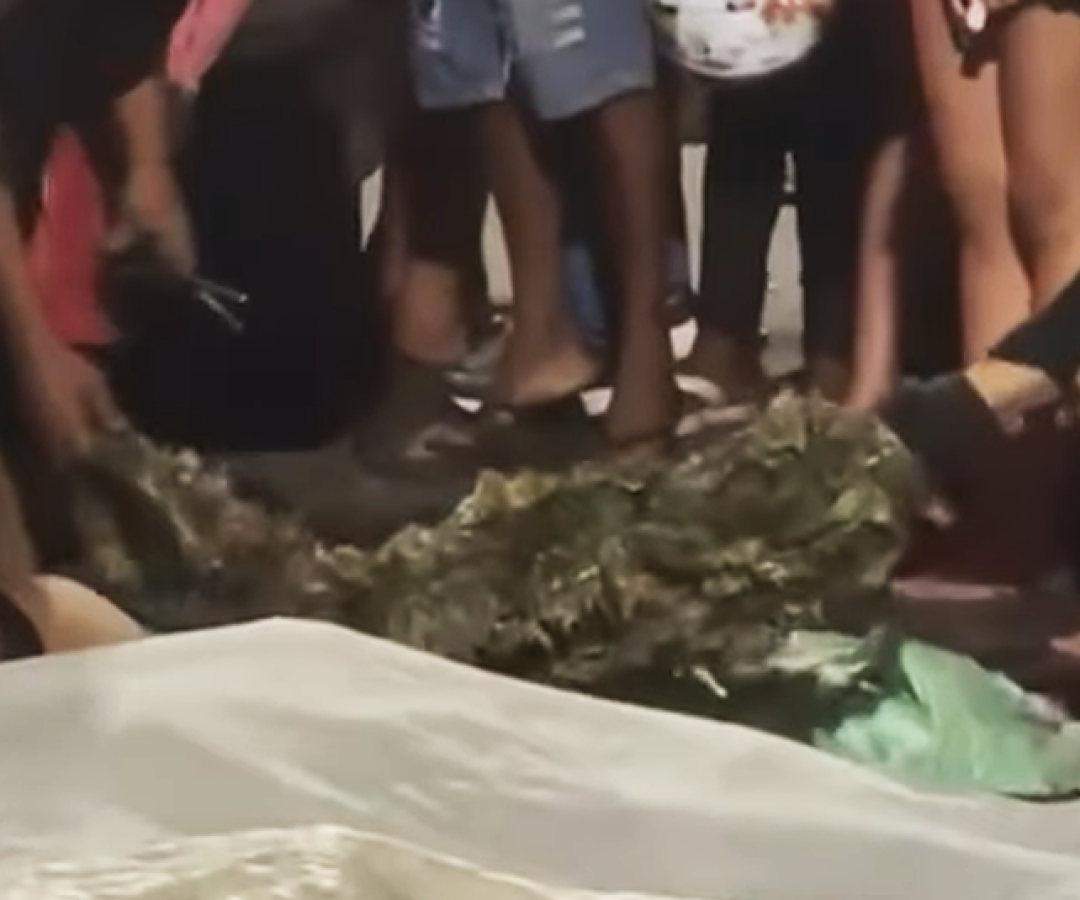 foto tirando farda 30 10 25