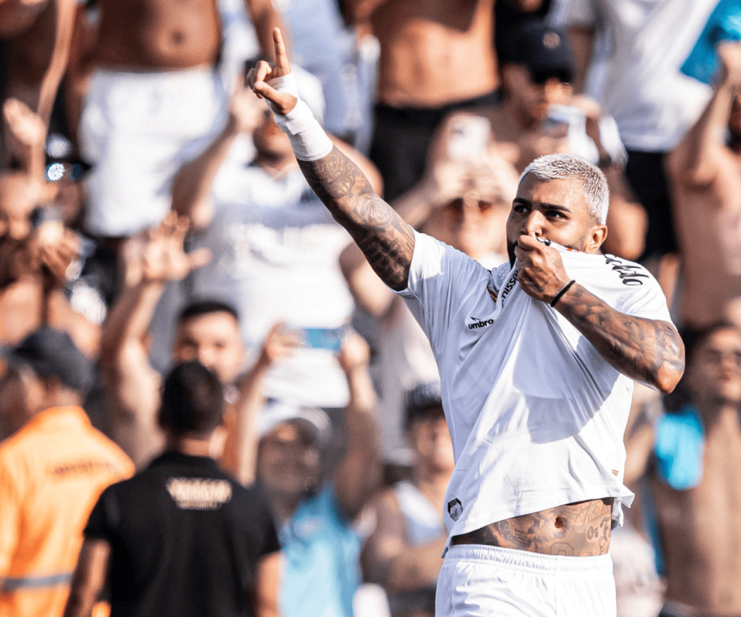 Foto: Raul Baretta / Santos FC