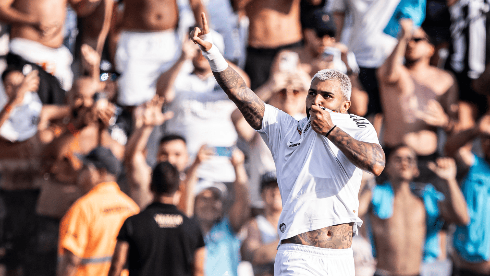 Foto: Raul Baretta / Santos FC