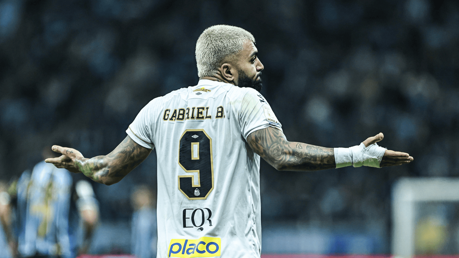 Foto: Reinaldo Campos / Santos FC