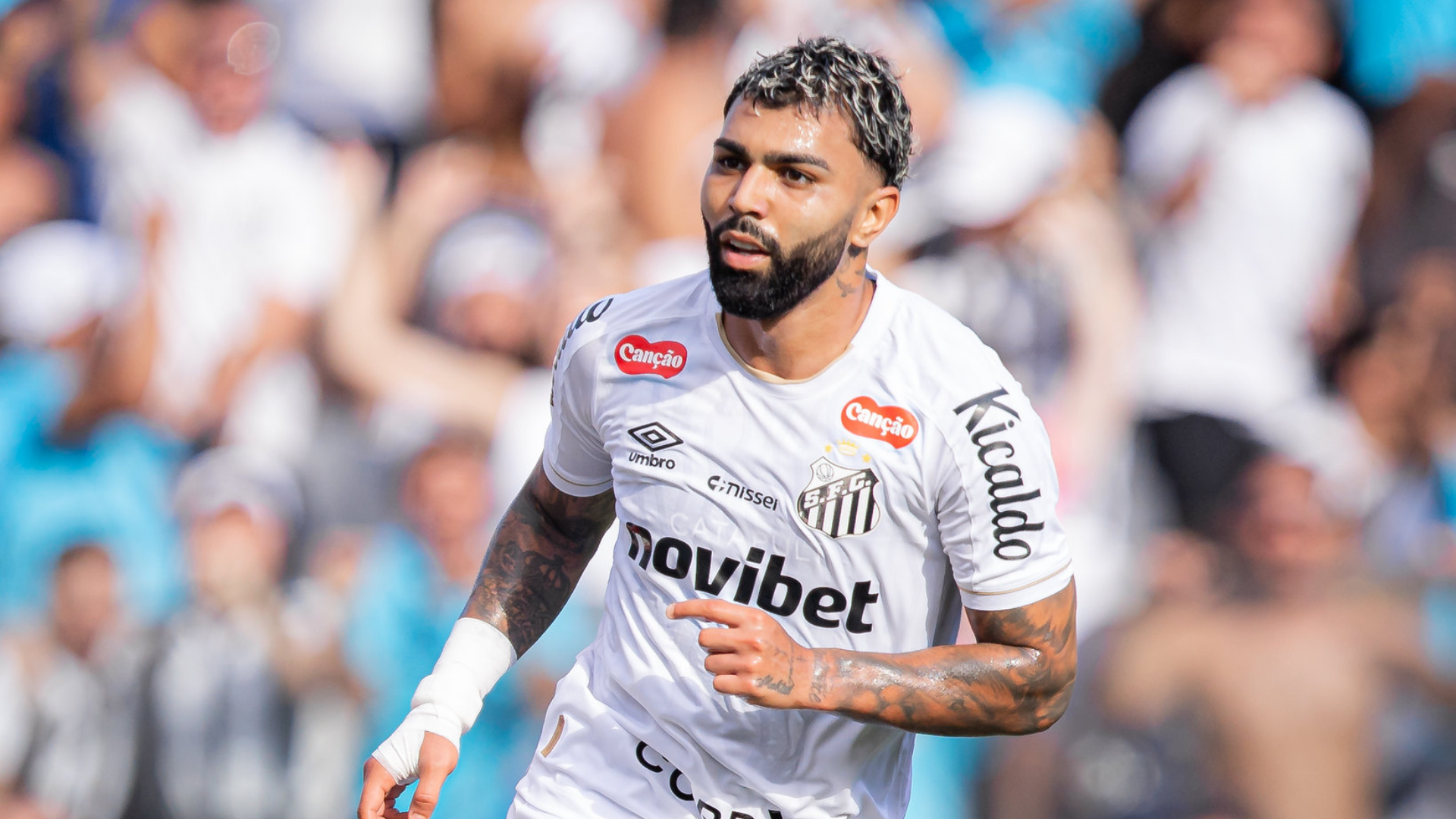 Foto: Raul Baretta / Santos FC