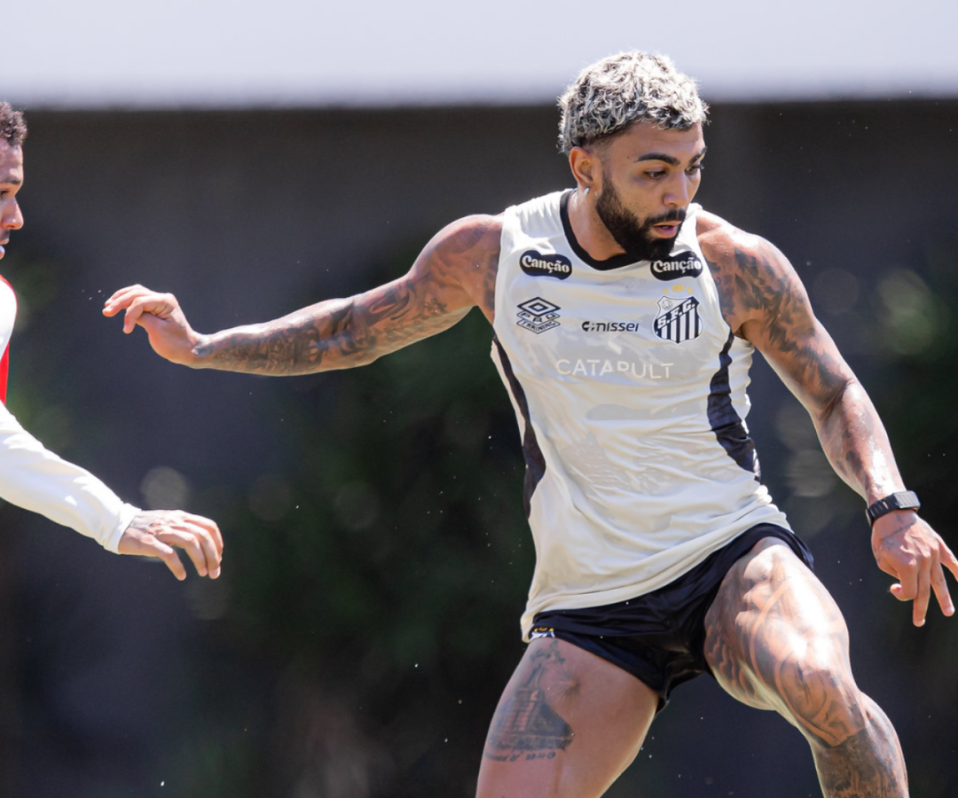 Foto: Raul Baretta / Santos FC