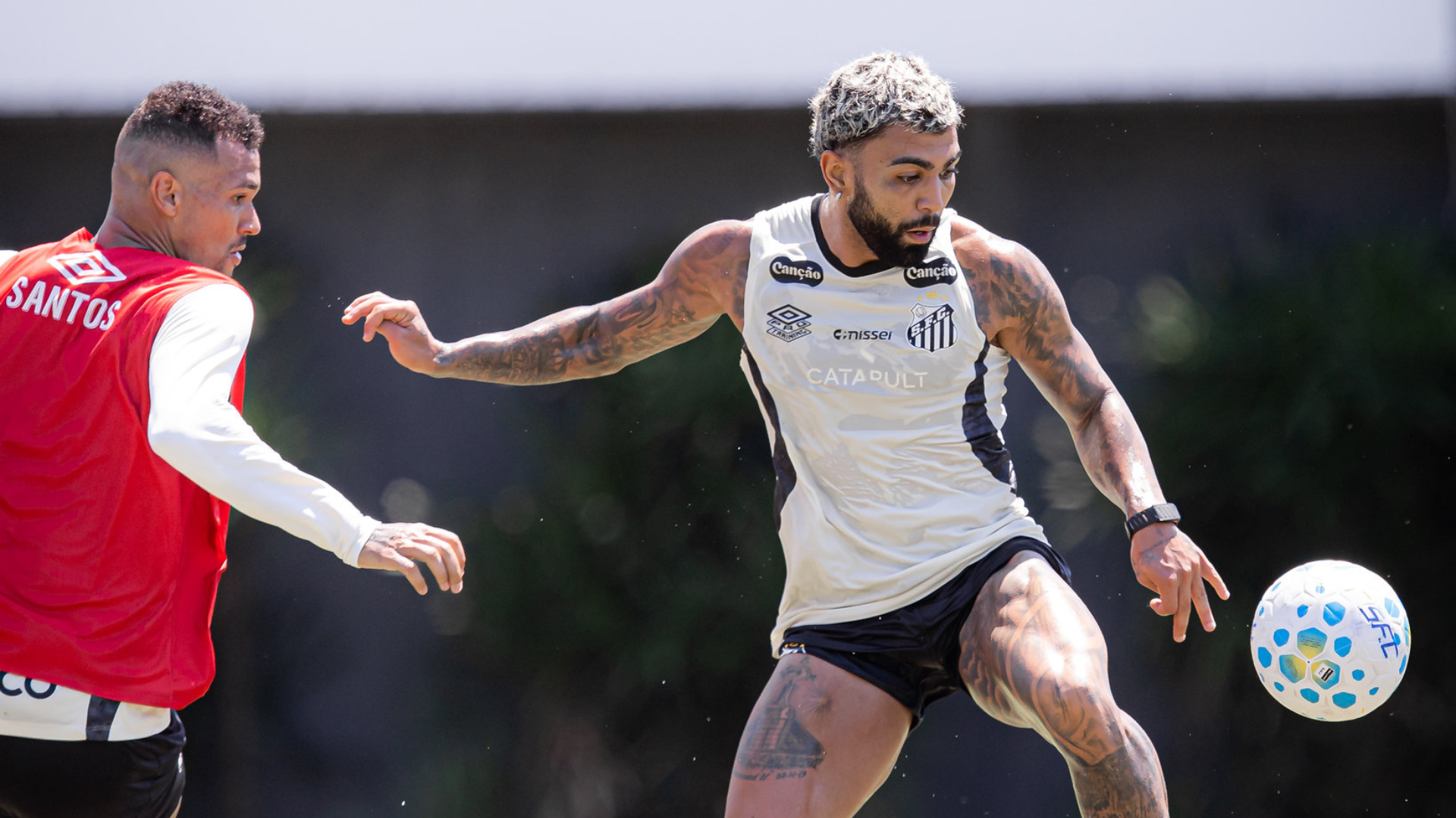 Foto: Raul Baretta / Santos FC