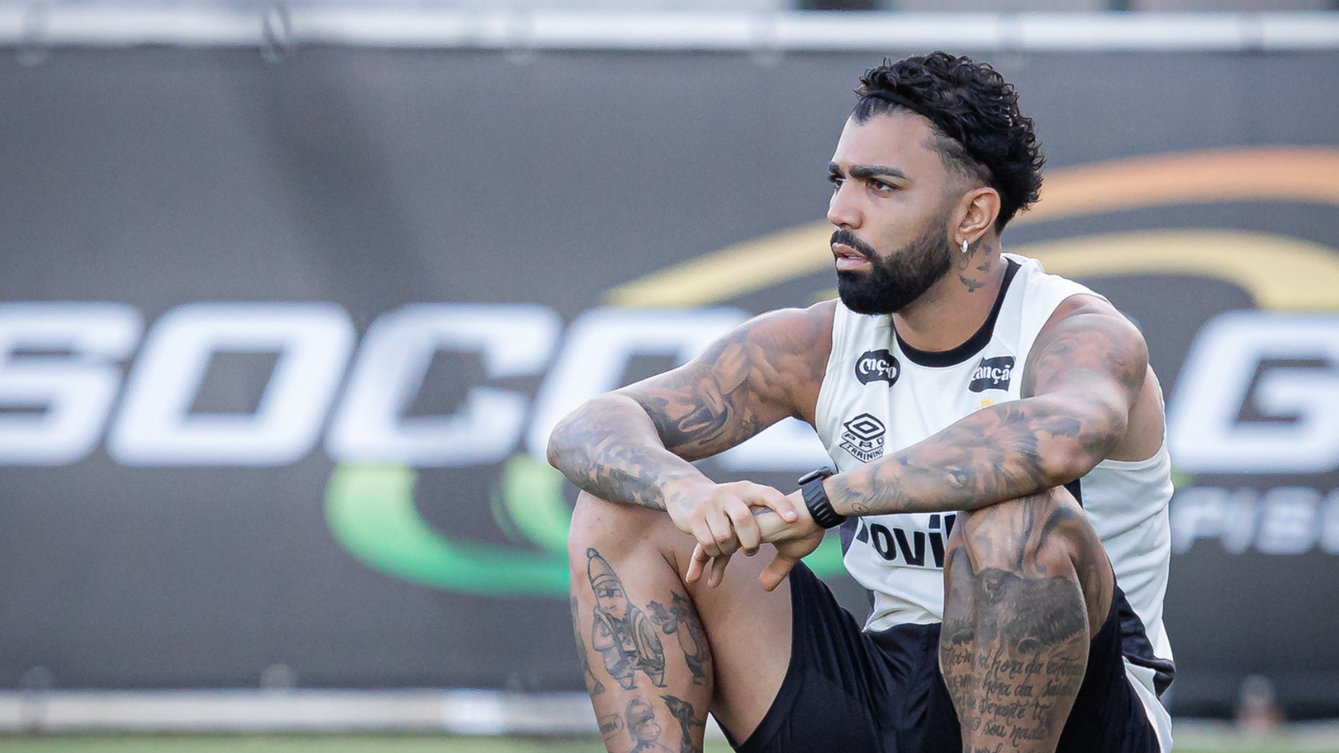 Foto: Raul Baretta / Santos FC