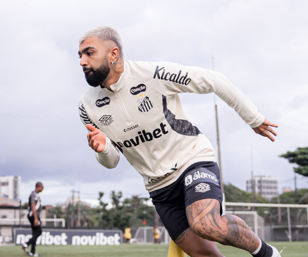 Foto: Raul Baretta / Santos FC