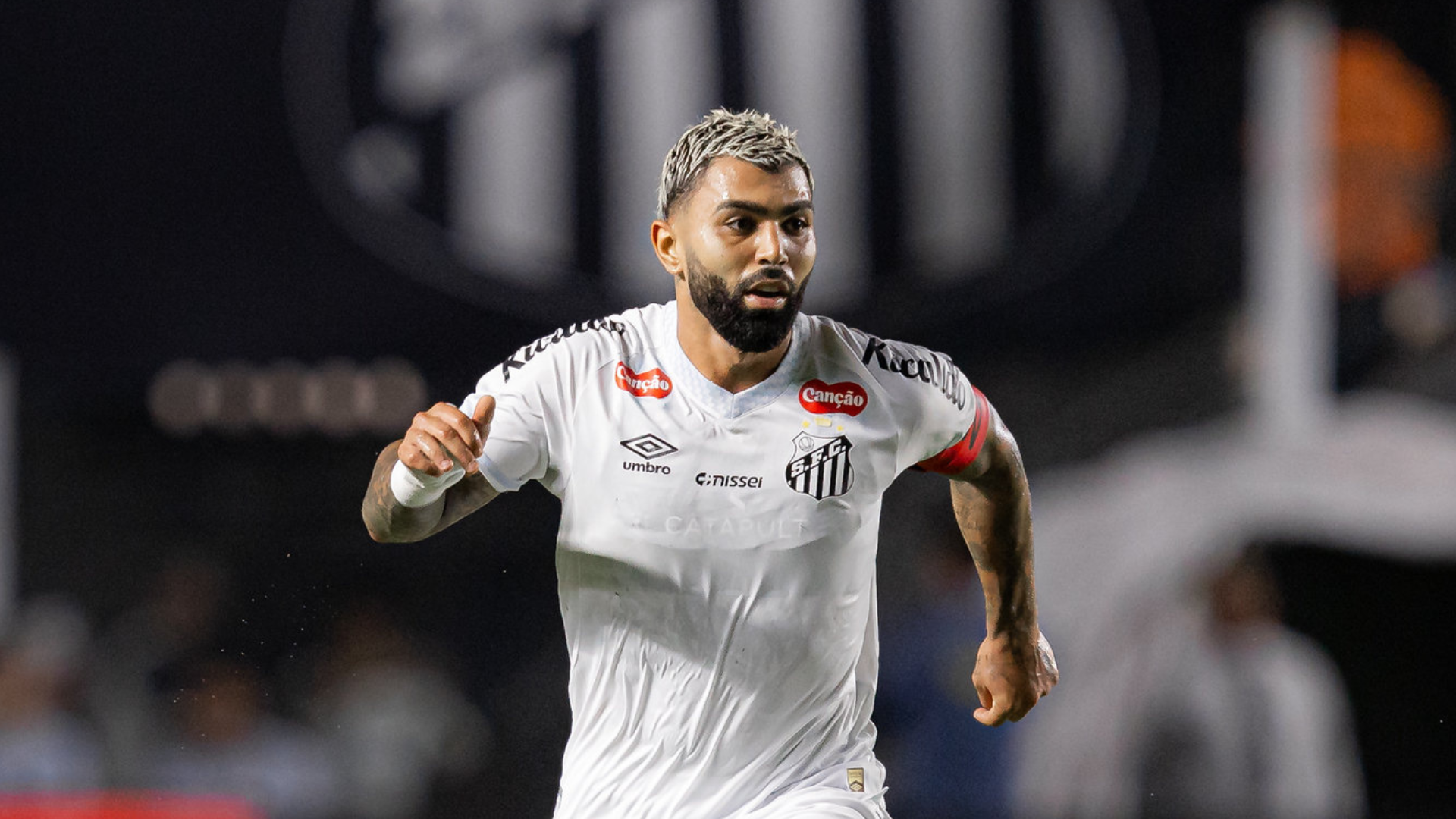 Foto: Raul Baretta / Santos FC