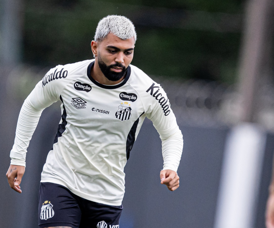 Foto: Raul Baretta / Santos FC