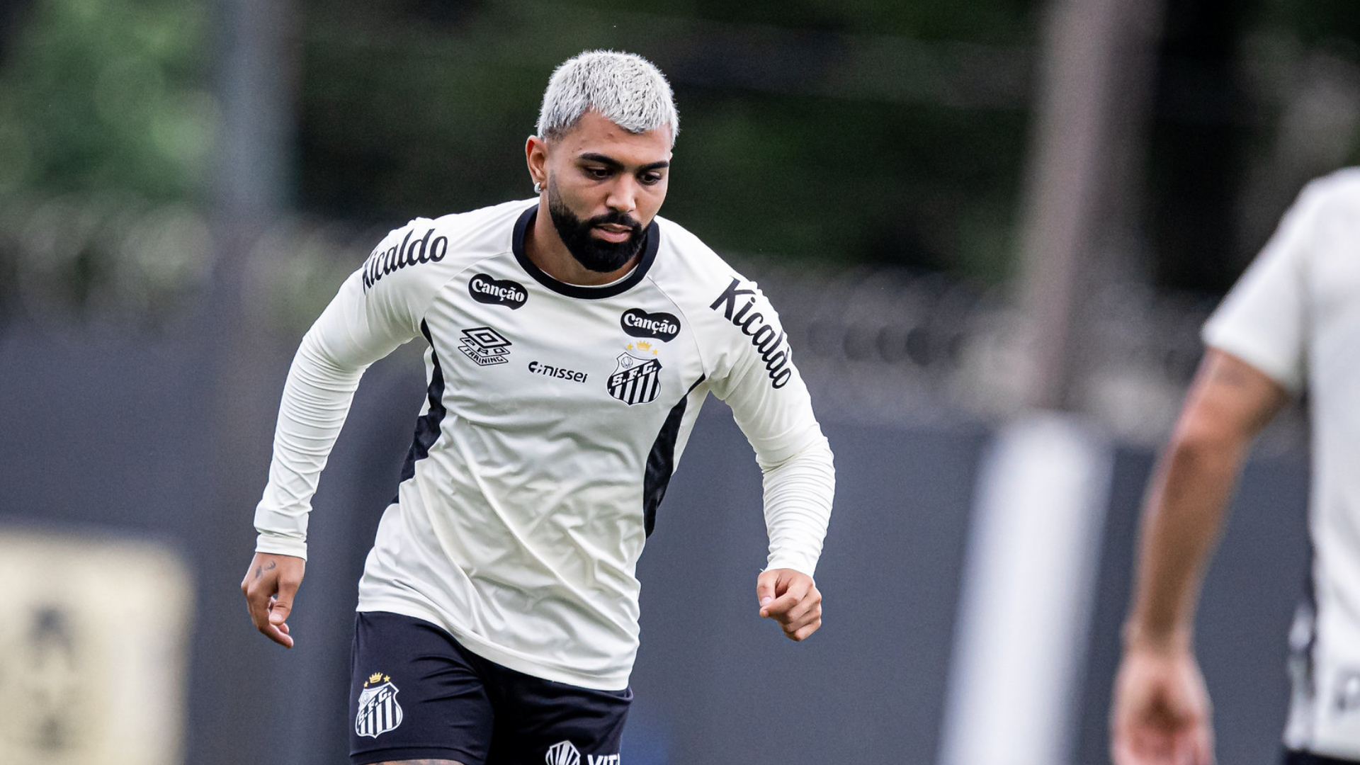 Foto: Raul Baretta / Santos FC