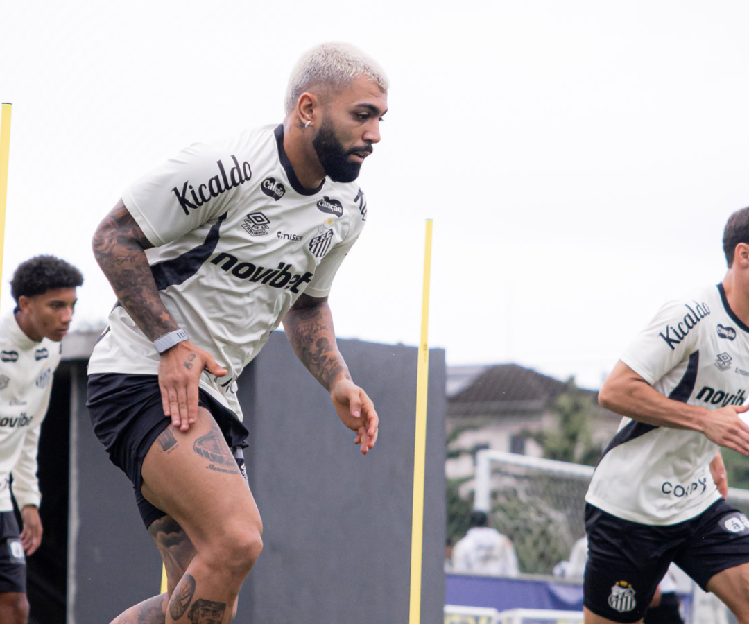 Foto: Raul Baretta / Santos FC