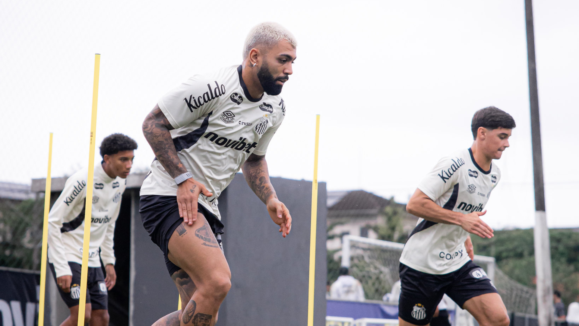 Foto: Raul Baretta / Santos FC